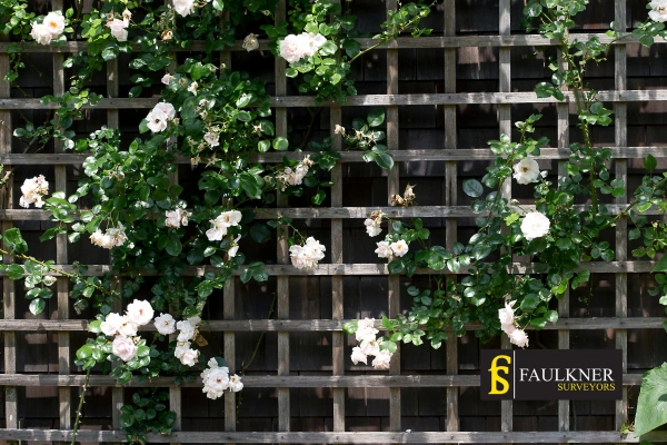 Can I put trellis on my Neighbours garage wall? 2 Do you want to adapt your neighbours garage door and add a trellis Romford? Talk to Faulkner Surveyor Romford